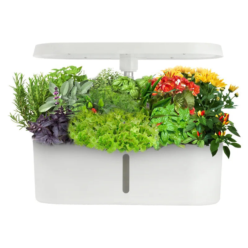 Yztrax GrowSmart™ – Sistema Hidropónico Automático de Cultivo em Casa