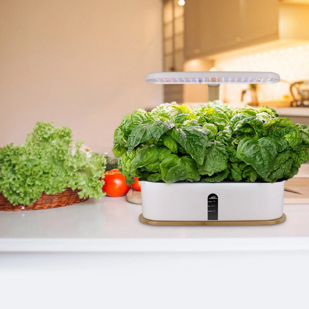 Yztrax GreenBox™ – Jardim Hidropónico Interior com Luz LED de Crescimento | Compacto e Elegante